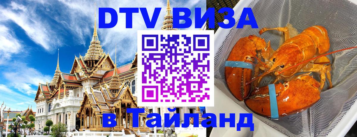 Оформление DTV визы под ключ: стоимость и тарифы, только загранпаспорт - 08.01.2026 
